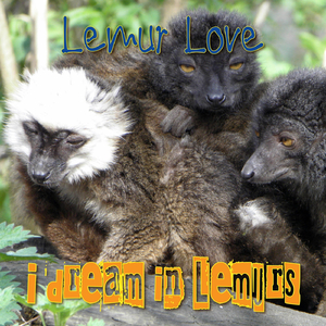 Lemur Love