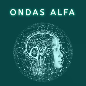 Alcanzando Metas