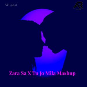 Zara Sa X Tu Jo Mila