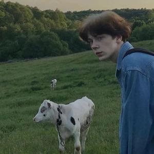 在少年不谙世事的日子里