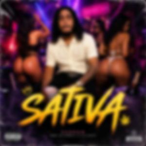 Sativa