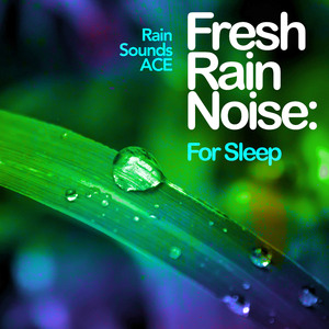 Fresh Raindrops Falling