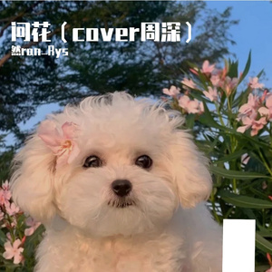 问花（cover周深）（翻自 周深）
