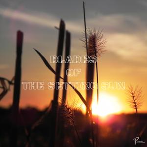 Tender Wings - op. 0132a