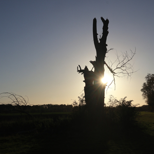 (Sc)heiß auf WM in Katar (Radio Edit)