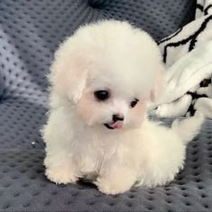 Where Are You? (sped up)