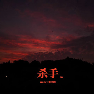 杀手We