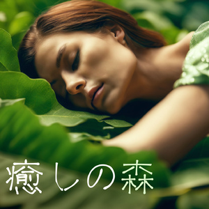 こころ穏やか眠れる音楽