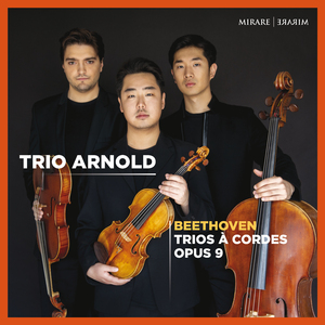 String Trio in C Minor, Op. 9 No. 3: I. Allegro con spirito (C Minor)