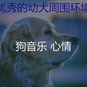 精彩睡狗环境