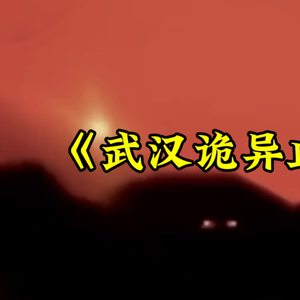 大型纪录片《武汉诡异血雾》