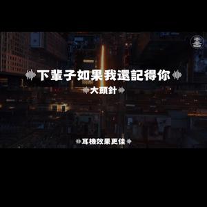 下輩子如果我還記得你/大頭針