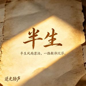 半生