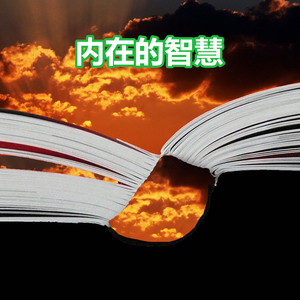 内在的智慧