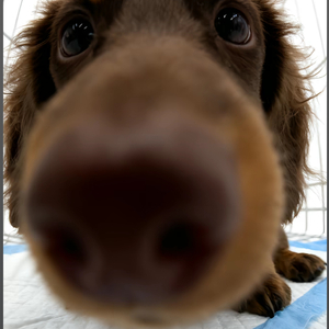 关于你的日记我终于停下笔