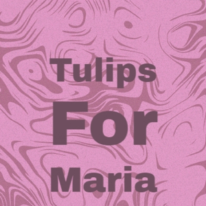 Tulips For Maria