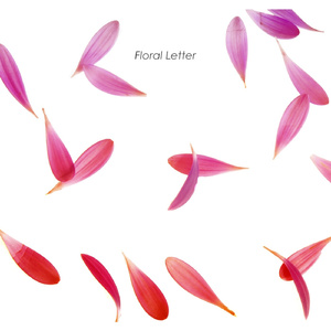 장난기 많은 소녀