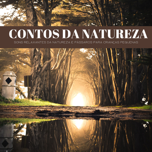 Sons Engraçados