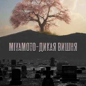 Дикая вишня