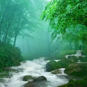 音乐muzika