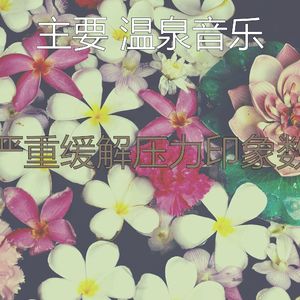 抚慰的和谐回忆