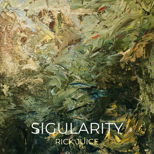 Sigularity
