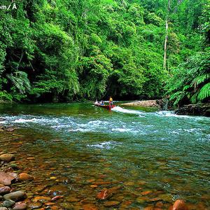 你是人间四月天 酷酷的龙