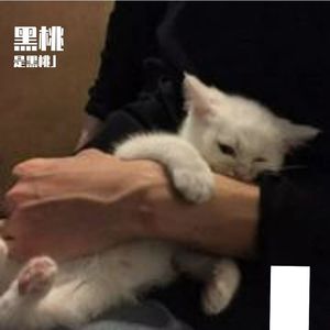 总有一天你会出现在我身边