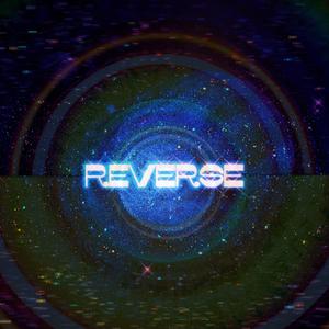 Reverse(扭转）
