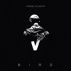 Pleintje (feat. Vinci & Astrodidit)