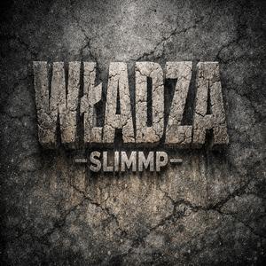 Władza
