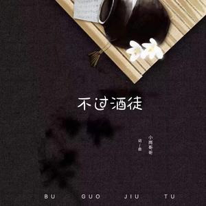 小岗哥哥-不过酒徒 伴奏