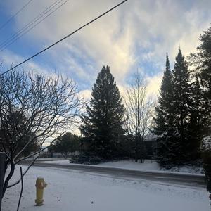 Santa Claus From Amazon