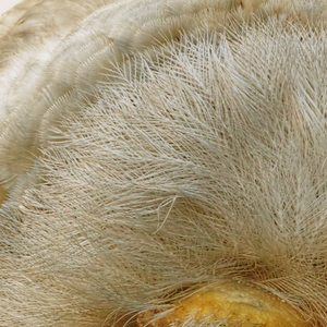 Off the Motorway and onto the Short Cut, over the Hill