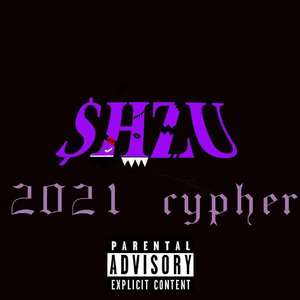 石河子大学2021CYPHER
