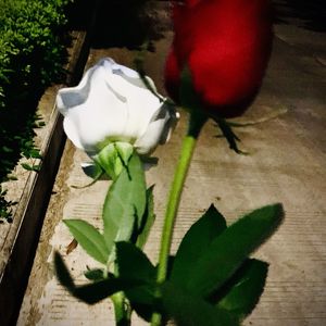 失望爱意（Prod.by Gr33nart Beats）