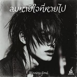 ลมหายใจที่หายไป (Missing Soul)