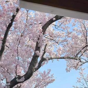 队长-哪里都是你（牧呓 remix）