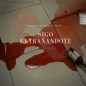 Sigo extrañandote