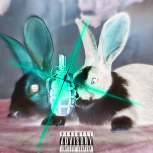 2 IEPURI DINTR-O GRENADA (feat. faust1)