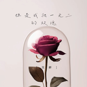你是我独一无二的玫瑰