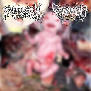 Spin Kick Your Landlord