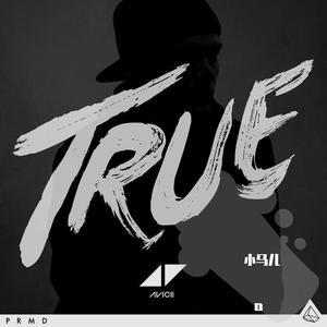 Avicii-Dear Boy (Master)（是小马儿鸭～ remix）