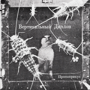 Пойми-Прости