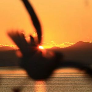 鉴于我们都活在上一段荒唐的时光里（demo）