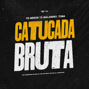Os Menor Tá Malandro, Toma Catucada Bruta (feat. DJ JOTAPE ZN & MC PR)
