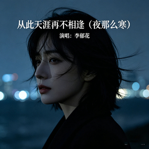 从此天涯再不相逢(夜那么寒)