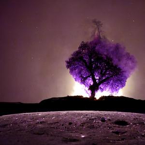 Perseguir