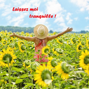 Laissez moi tranquille !