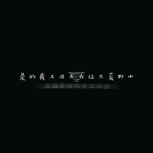 是的，我又消失在这片荒野中